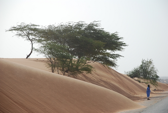 Dünen bis an den Strassenrand zwischen Nouâkchott und Rosso