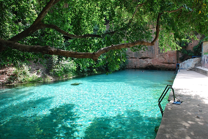 Wikki Warm Spring im Yankari Nationalpark