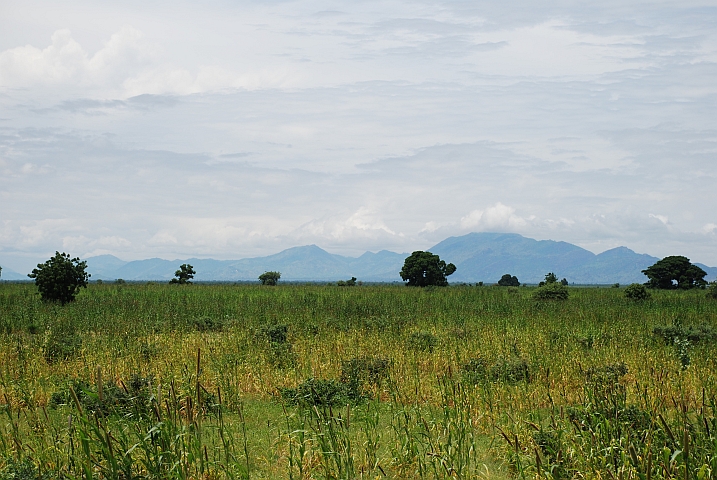 Die Berge sind bereits Kamerunisches Territorium