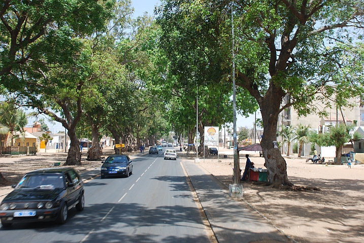 Hübsche Allee in Mbour