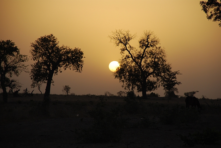 Abendstimmung in Sine Ngayène
