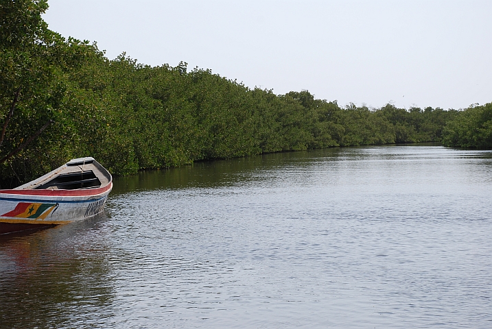 Bolong hinter dem Hotel Le Karone in Kafountine