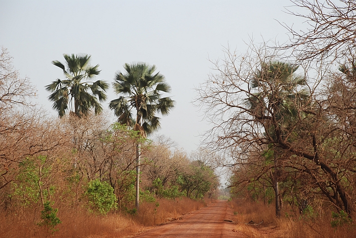 Piste zur senegalesisch-guineischen Grenze