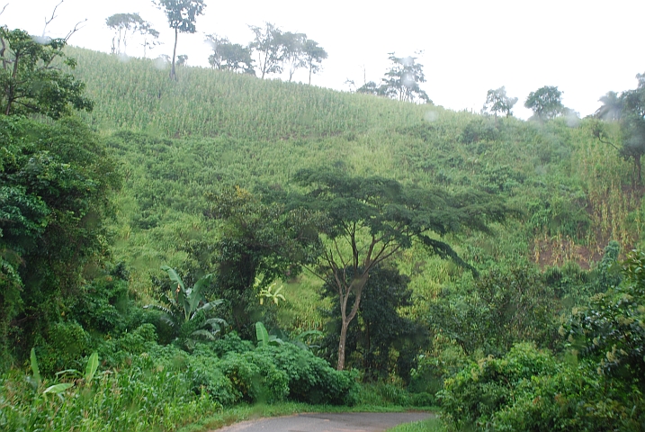 Landschaft in den Togobergen hinter Badou