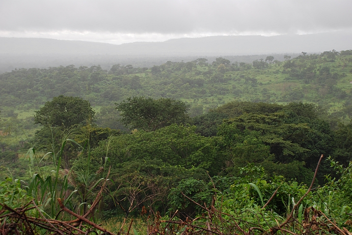Hügellandschaft kurz vor Atakpamé