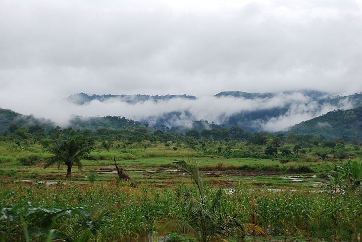 Feuchte Landschaft kurz nach Adéta zwischen Atakpamé und Kpalimé