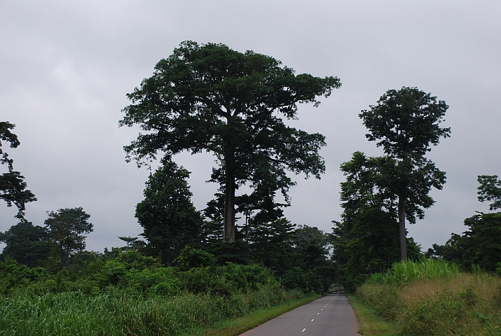 Zwischen Kpalimé und Lomé