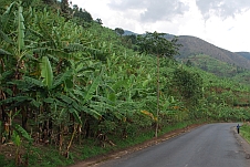 Zur Fotogalerie Burundi