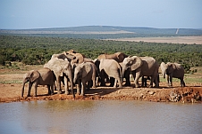 Zur Fotogalerie Südafrika (I)