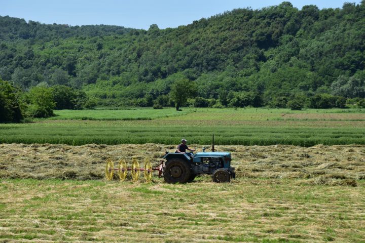 ... und kleinbäuerliche Graswirtschaft südlich der serbischen Hauptstadt