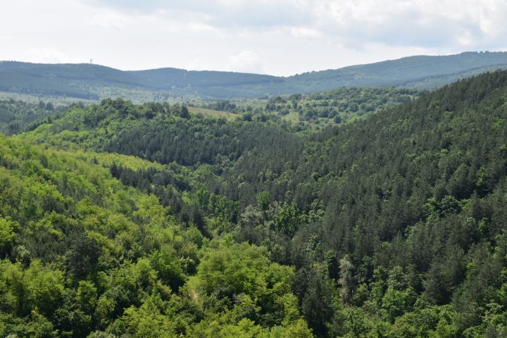 Hier zwischen Sofia und Plovdiv muss es doch fast Bären geben