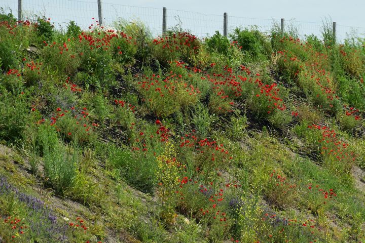 Farbiges Autobahnbord zwischen Plovdiv und Dimitrovgrad in Bulgarien