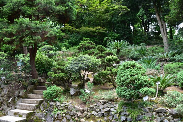 Der Japanische Garten