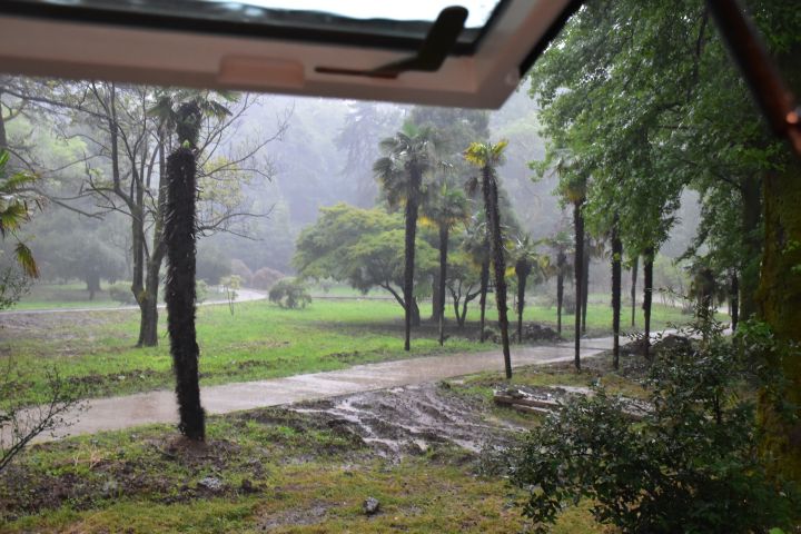 Regen fast wie in den Tropen