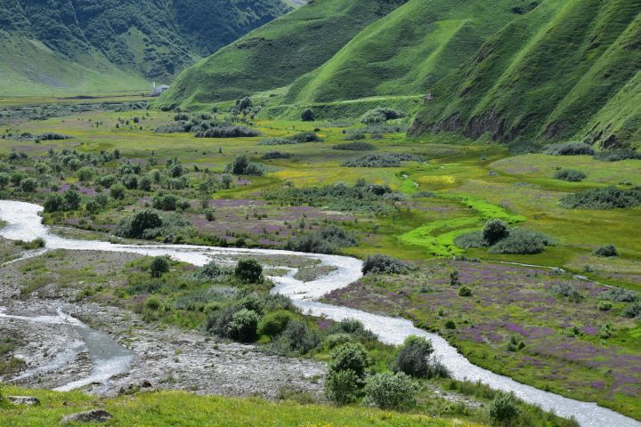 Tergi Tal oberhalb Stepantsminda