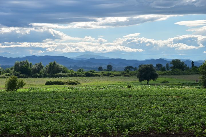 Landschaft in der Nähe von Mameuli südlich von Tiflis