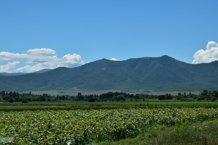 Bei Sadakhlo kurz vor der Grenze zu Armenien