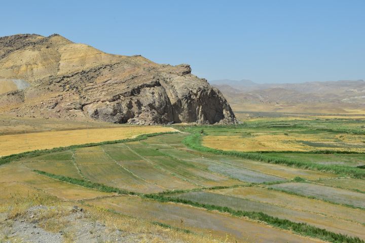 Reisanbau in einem Tal östlich von Miyaneh