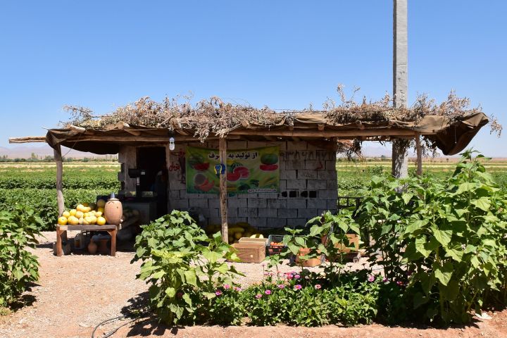 Verkaufsstand für Früchte und Gemüse direkt vom Feld