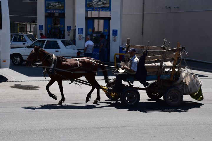 Eher selten zu sehen in der Türkei: Pferdegespann in Akhisar