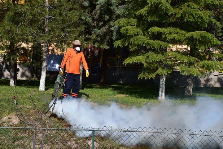 Der Fumigator