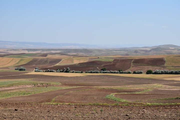 Ackerflächen in Anatolien zwischen Kirikkale und Delice östlich von Ankara