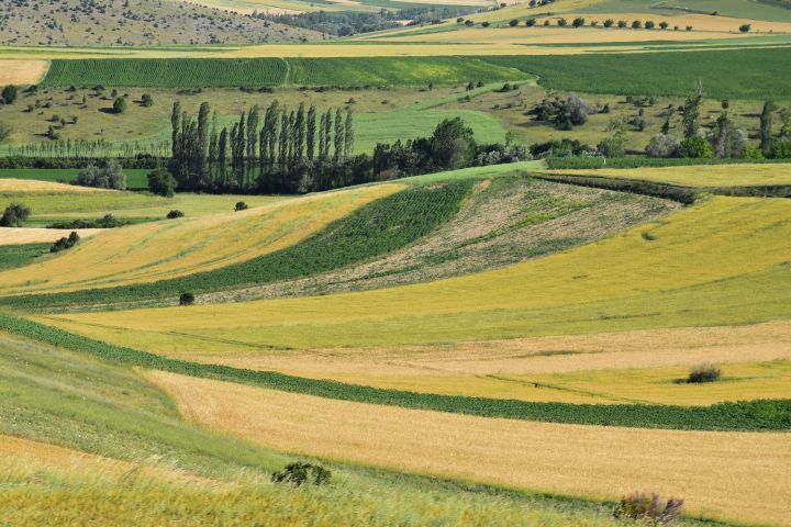 Landschaft zwischen Corum und Merzifon
