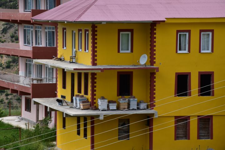 Gelbes Haus mit Bienenstöcken auf der Terrasse in Kalkanli am Zigana Pass