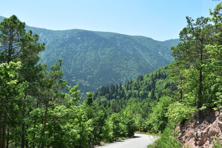 In den Bergen oberhalb Artvin in der Nordostecke der Türkei