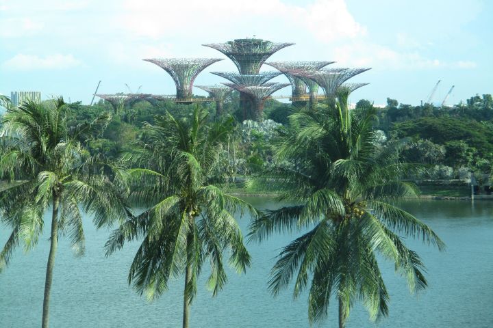Futuristische Glastürme in den “Gardens by the Bay“