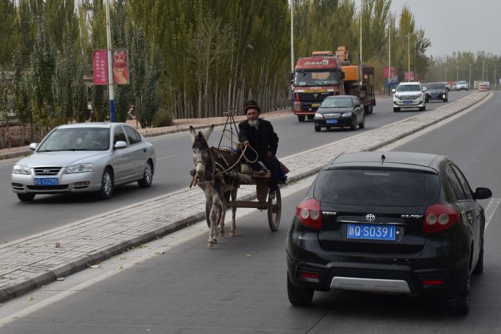 Alter Uigure mit seinem Eselsgespann als Geisterfahrer