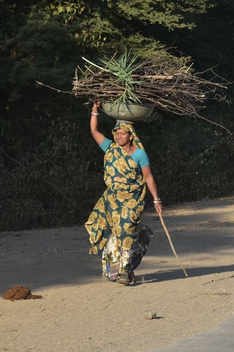 Frau trägt Feuerholz nach Hause
