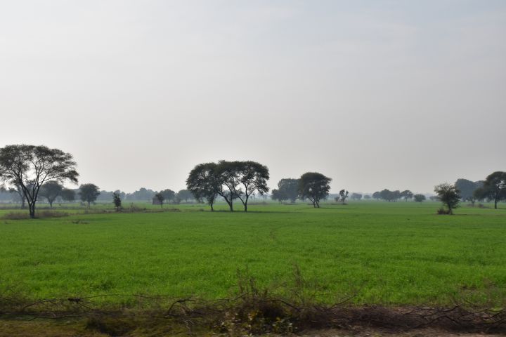 Unterwegs vor Mau Ranipur