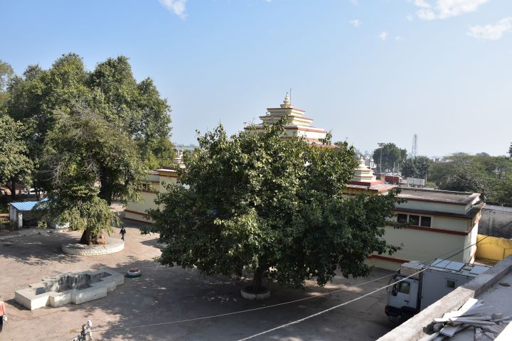 Unser Platz vor dem “Zostel“, dem freundlichen Backpackers
