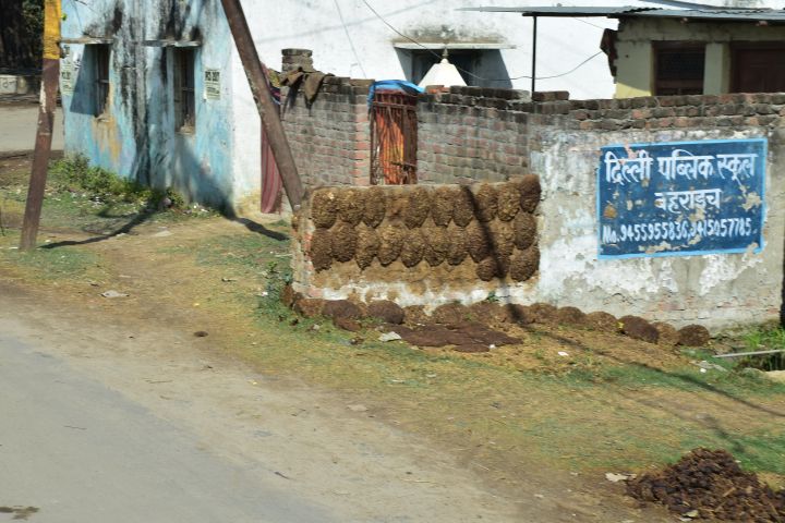 Zur Trocknung an eine Wand gepappte Dungfladen
