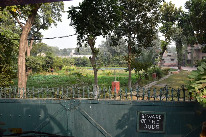 Vor dem Hintereingang zu Mrs. Bhandari’s Guesthouse