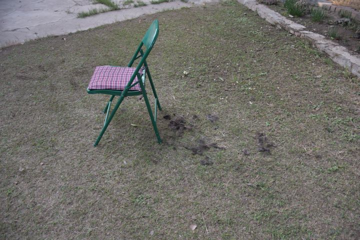 Der Freiluftsalon nach dem Haareschneiden