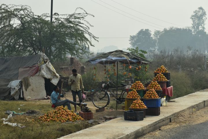 Orangenverkäufer in der Nähe von Chandigarh in Nordwestindien