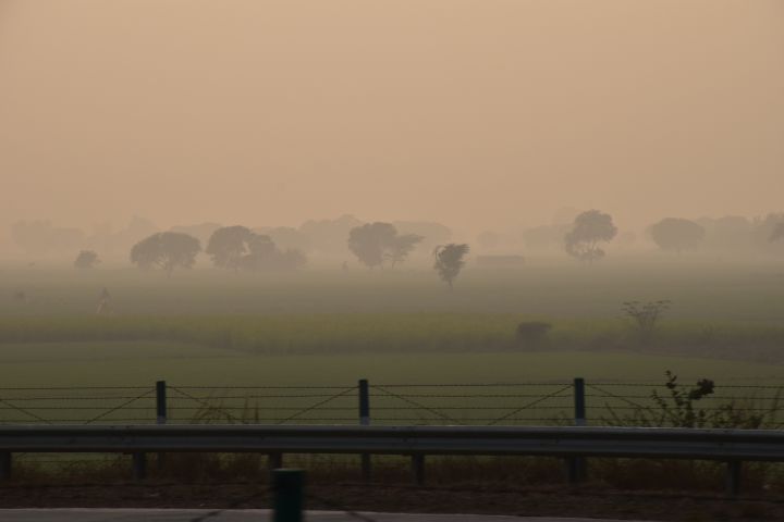 Dunstige Nachmittagsstimmung