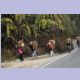 Einmal mehr: Frauen als Lastenträgerinnen, hier auf der Pashok Road im Vorder-Himalaya