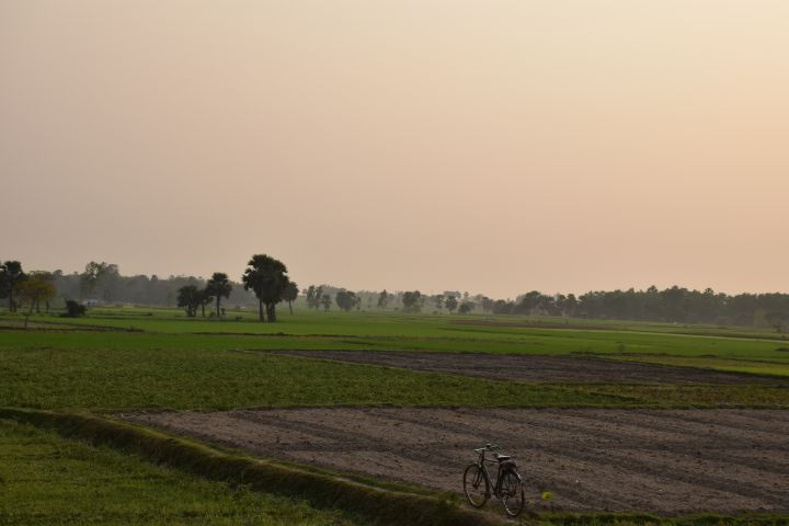 Abendstimmung etwas nördlich von Bardhaman