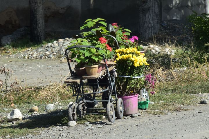 Blumen in ausgedienten Kinderwagen als Farbtupfer am Strassenrand bei Sokuluk, einem Vorort von Kirgisistans Hauptstadt Bishkek