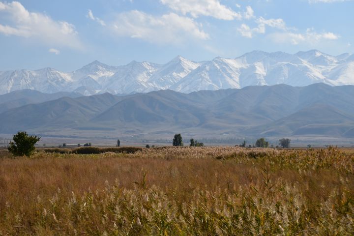 Das Kirgisische Ala-Too Gebirge vom breiten Tal des Chui bei Tokmok aus gesehen