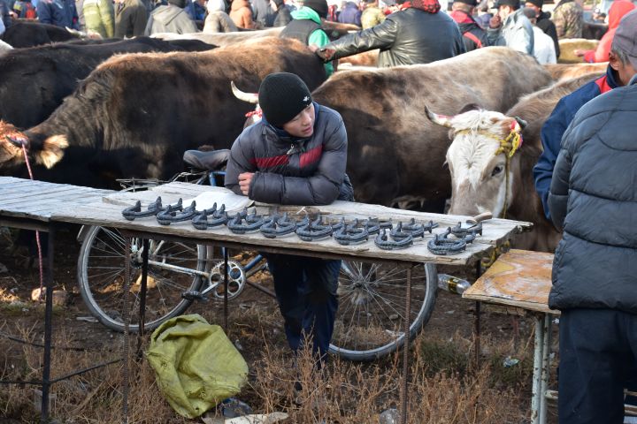 Bursche verkauft Hufeisen am Viehmarkt in Karakol