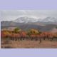 Farbige Laubbäume: Es ist Herbst in Kirgisistan