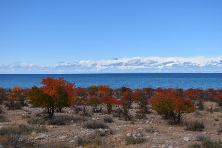 Farbige Laubbäume und hellblauer Himmel am dunkelblauen Issyk-Köl