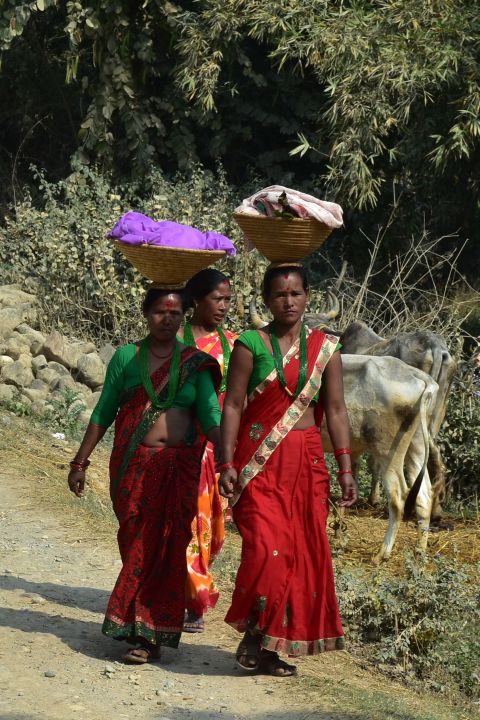 Nepalesinnen unterwegs in der Nähe des Bardia Nationalparks bei Thakudwara im West-Terai