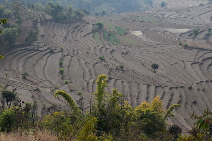 Reisterrassen in der Nähe von Tansen in den Mahabharat Bergen