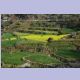 Landwirtschafts-Terrassen bei Waling auf dem Weg nach Pokhara
