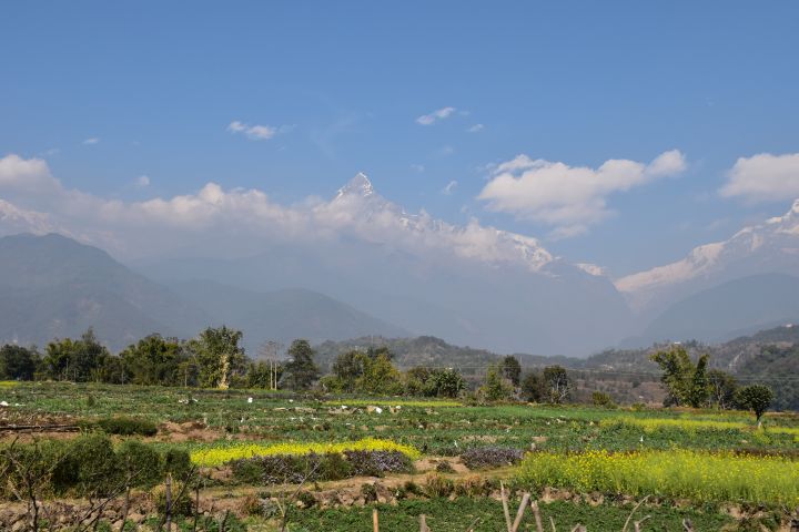 Der Machapuchare von Pokhara aus